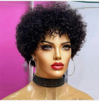 Pre Plucked Virgin Brazilian Afro Kinky Curly Wig