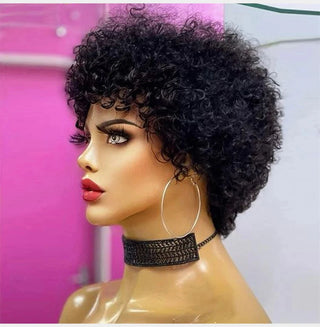 Pre Plucked Virgin Brazilian Afro Kinky Curly Wig